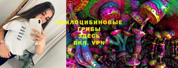 гашик Лагань