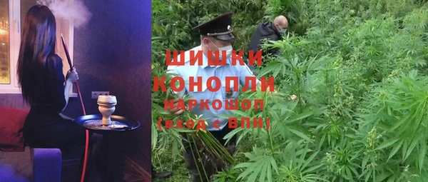 гашик Лагань