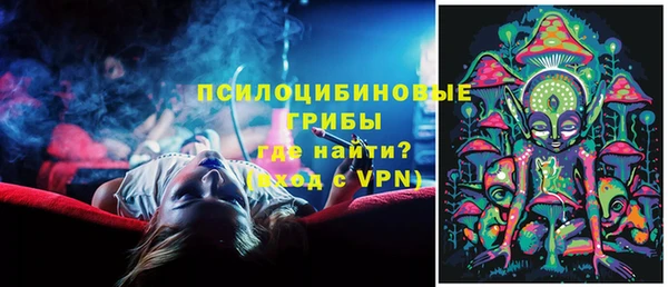 гидропоника Лабытнанги