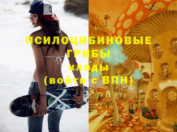 гидропоника Лабытнанги