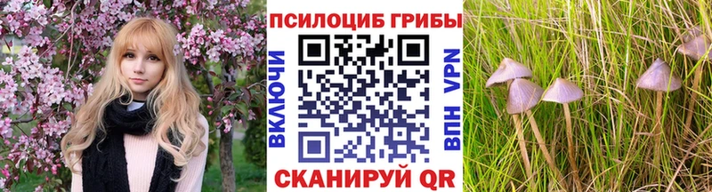 Галлюциногенные грибы MAGIC MUSHROOMS  Димитровград 
