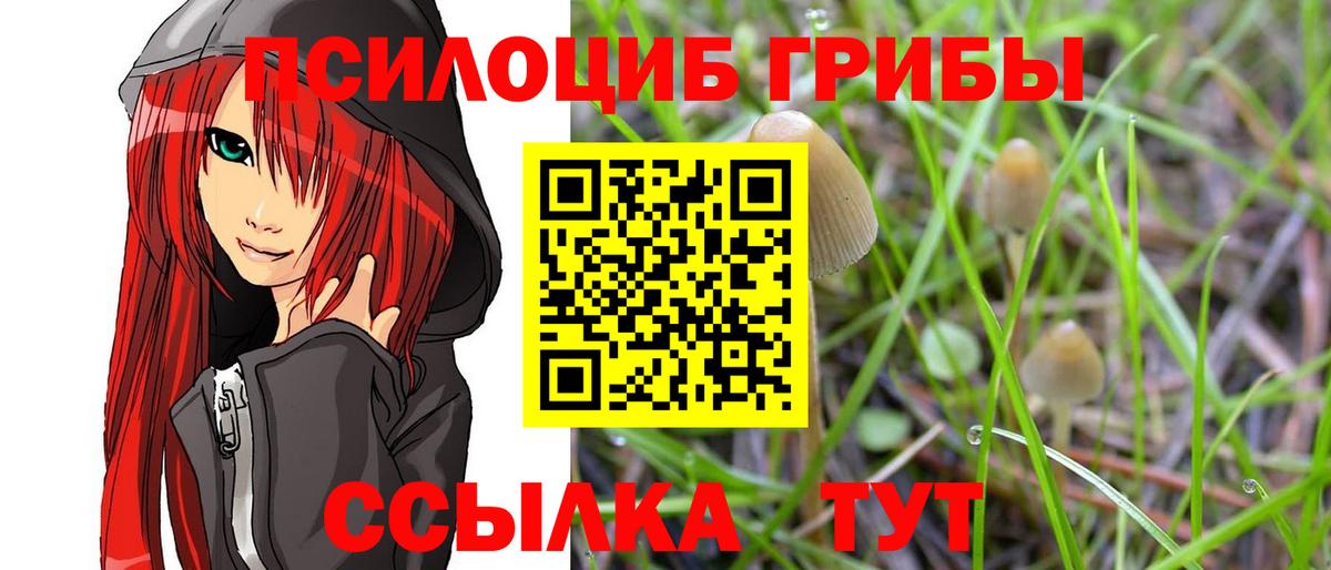 Галлюциногенные грибы GOLDEN TEACHER  Псилоцибиновые грибы Psilocybine cubensis  наркошоп  Димитровград  Вход с VPN 