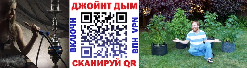 Каннабис индика  Димитровград 